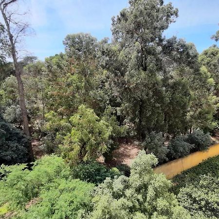 Forest View Lisboa Dış mekan fotoğraf