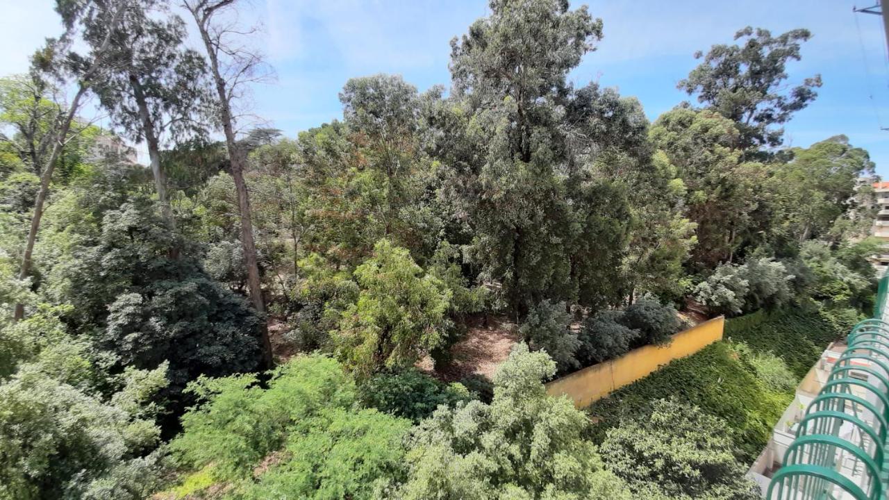 Forest View Lisboa Dış mekan fotoğraf