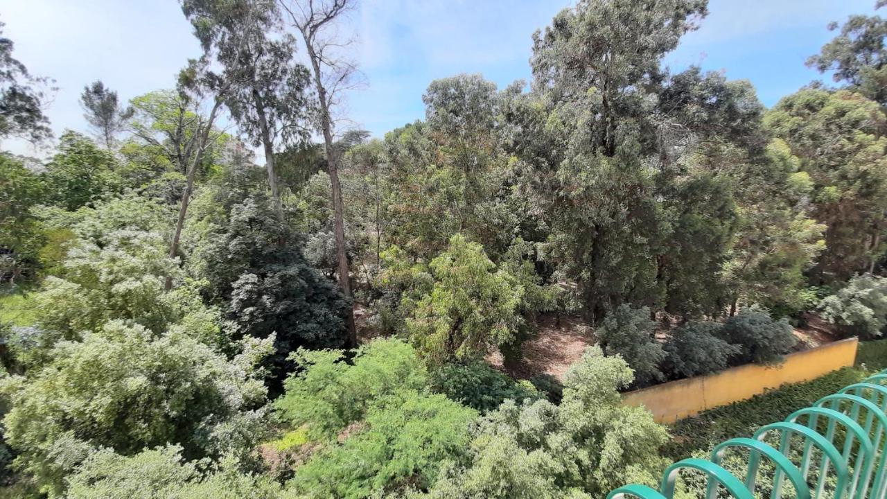 Forest View Lisboa Dış mekan fotoğraf