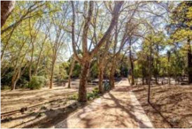 Forest View Lisboa Dış mekan fotoğraf
